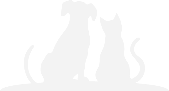 Cat and dog silouette