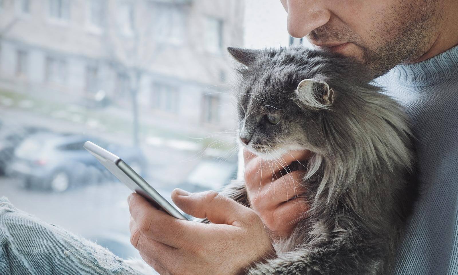 A man and cat looking at a phone