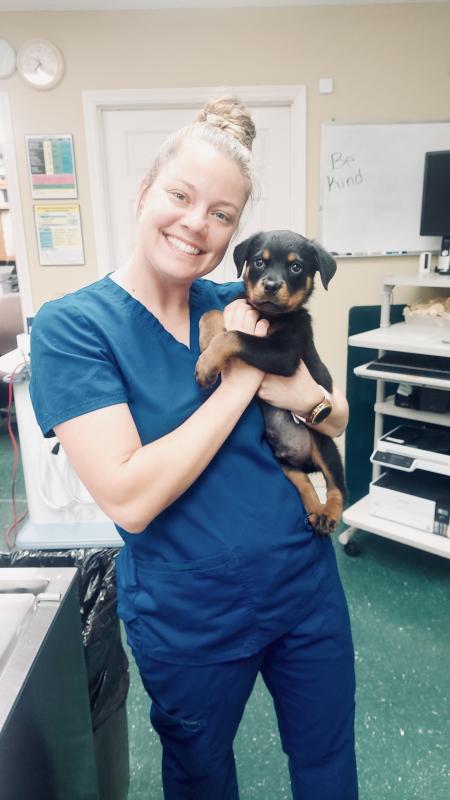 Katrina , Veterinary Assistant